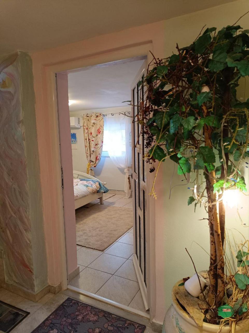 Maria Guesthouse Aliveri Rum bild